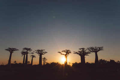 Silhouette palm trees against sky during sunset