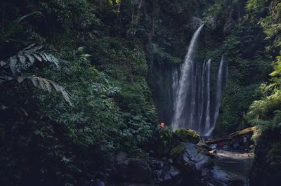 Scenic view of waterfall in forest