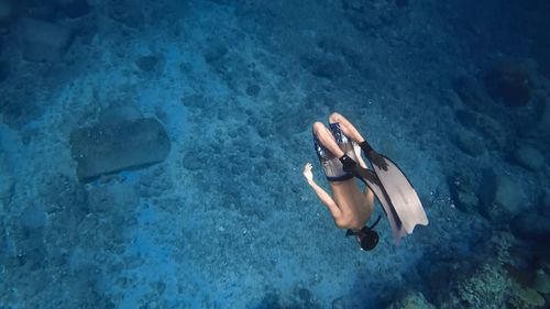 High angle view of woman swimming in sea