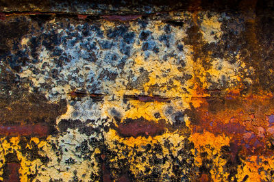 Full frame shot of wood